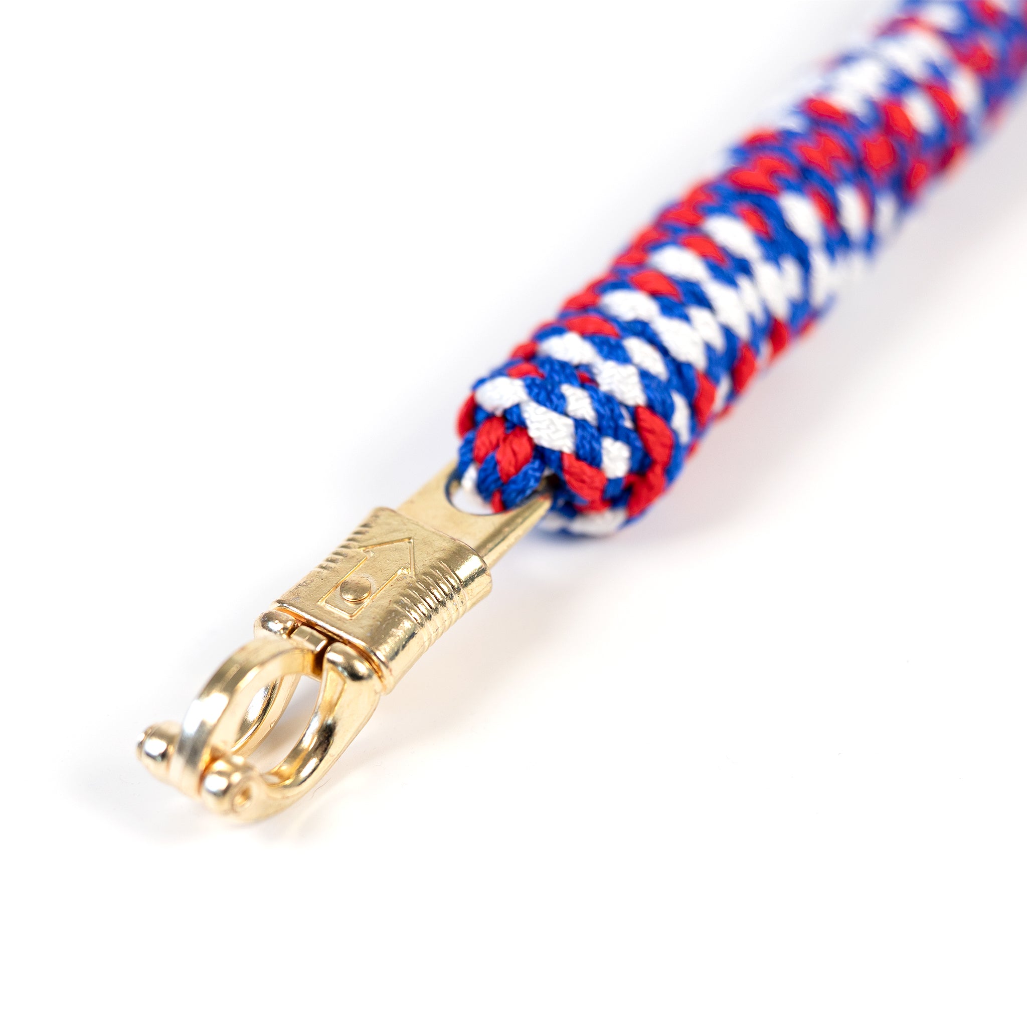 Holsteiner Tricolor Führstrick