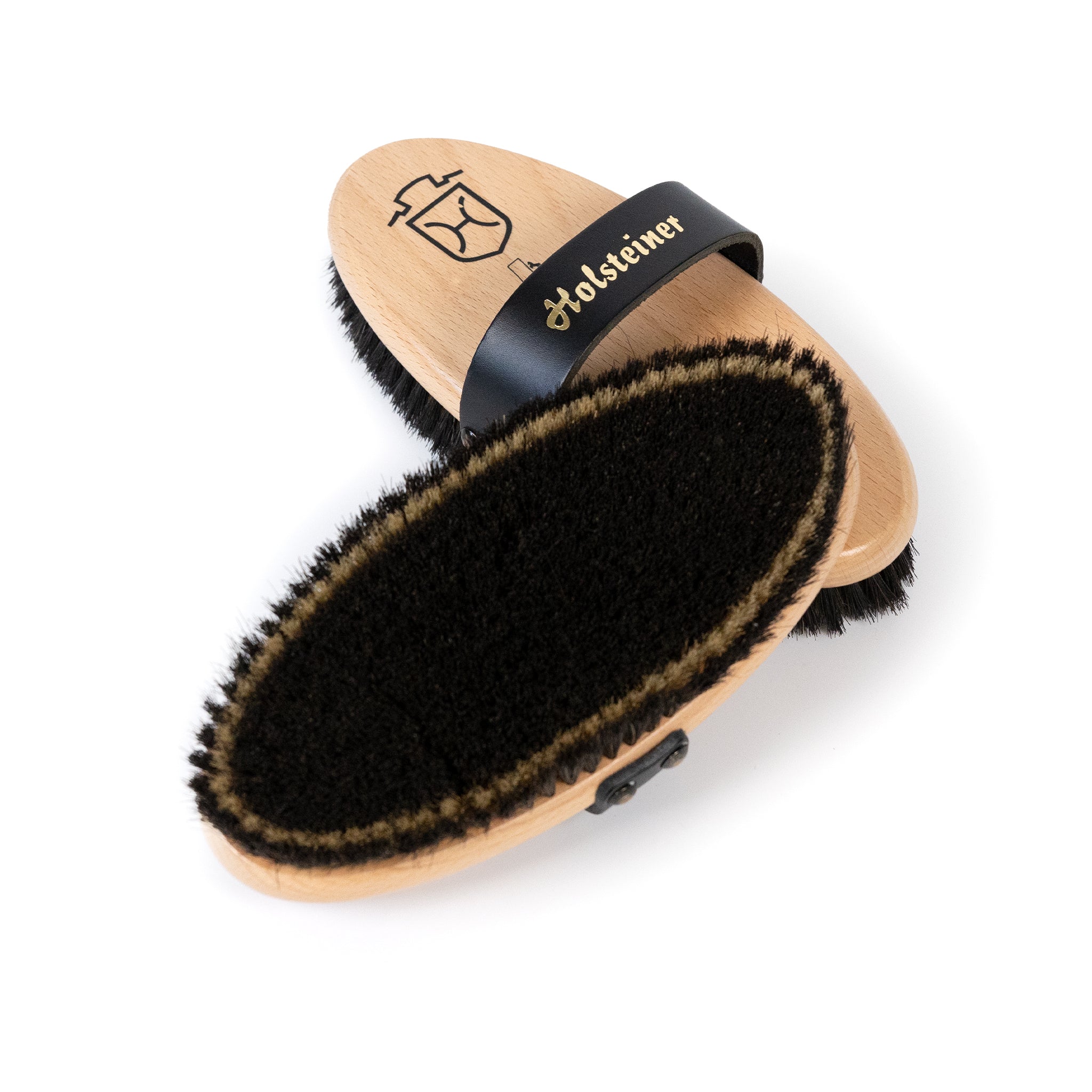 Holsteiner Kardätsche Prestige