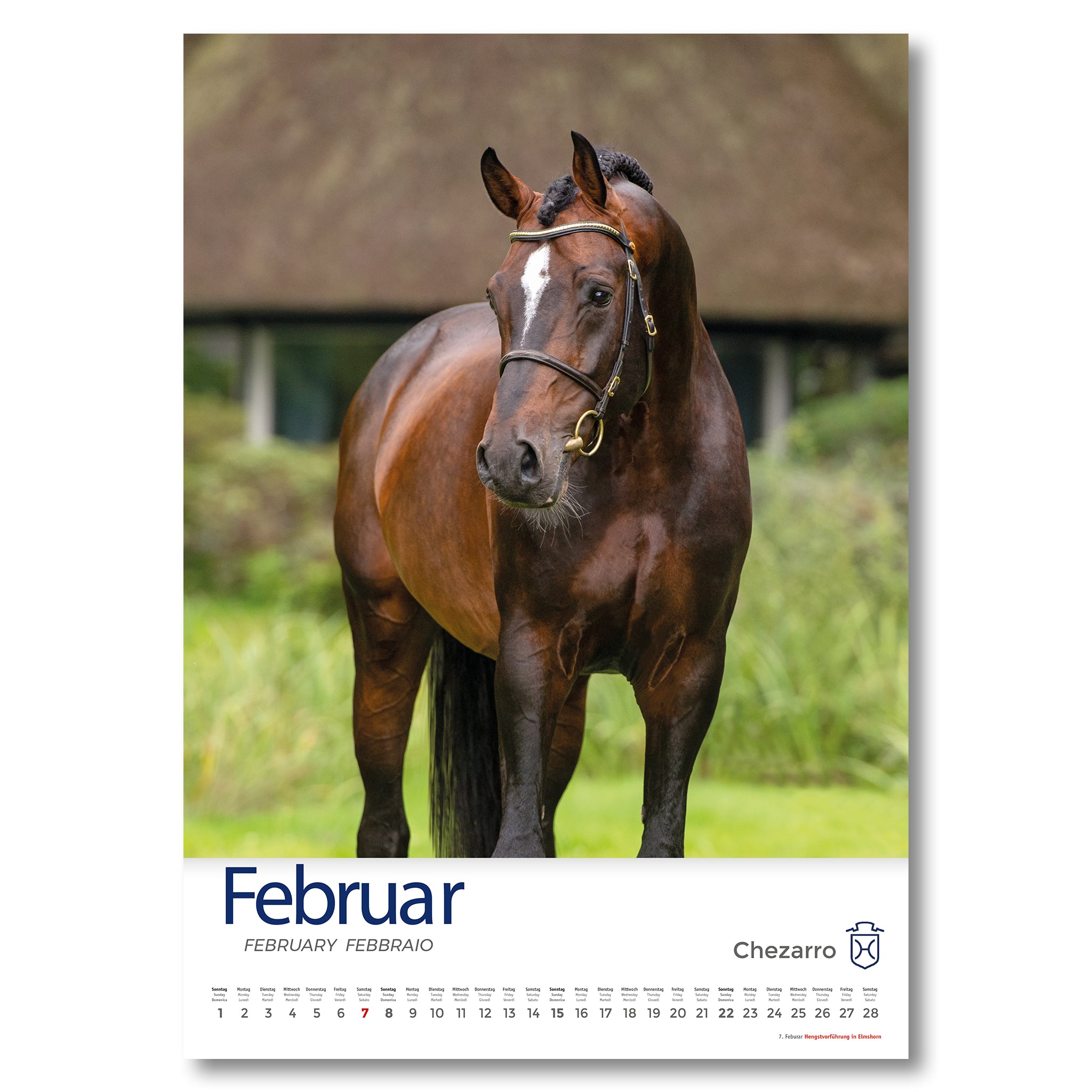 Holsteiner Impressionen - Kalender 2026