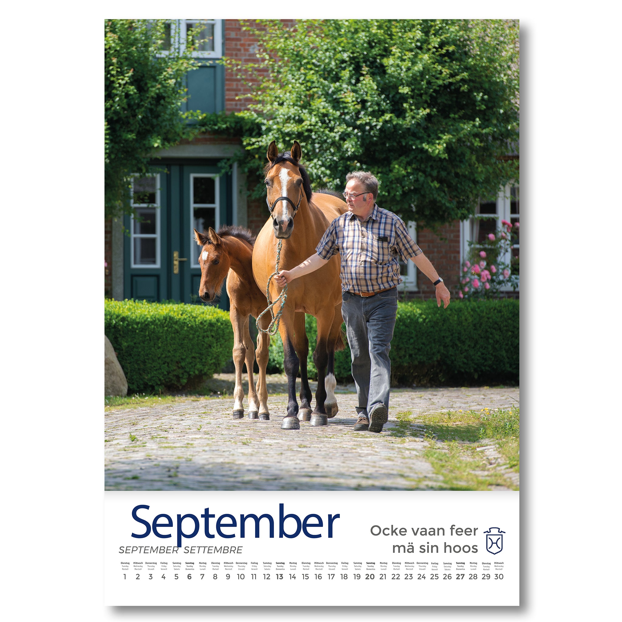 Holsteiner Impressionen - Kalender 2026