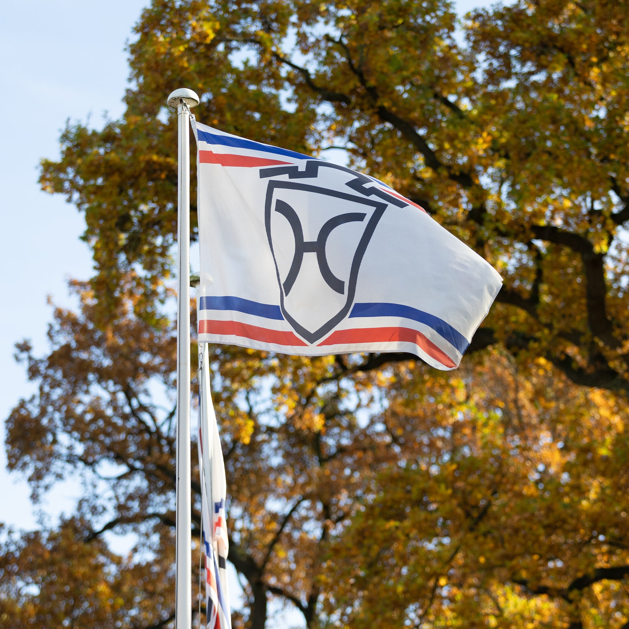 Holsteiner Brandzeichen Fahne (2 x 1,20m)