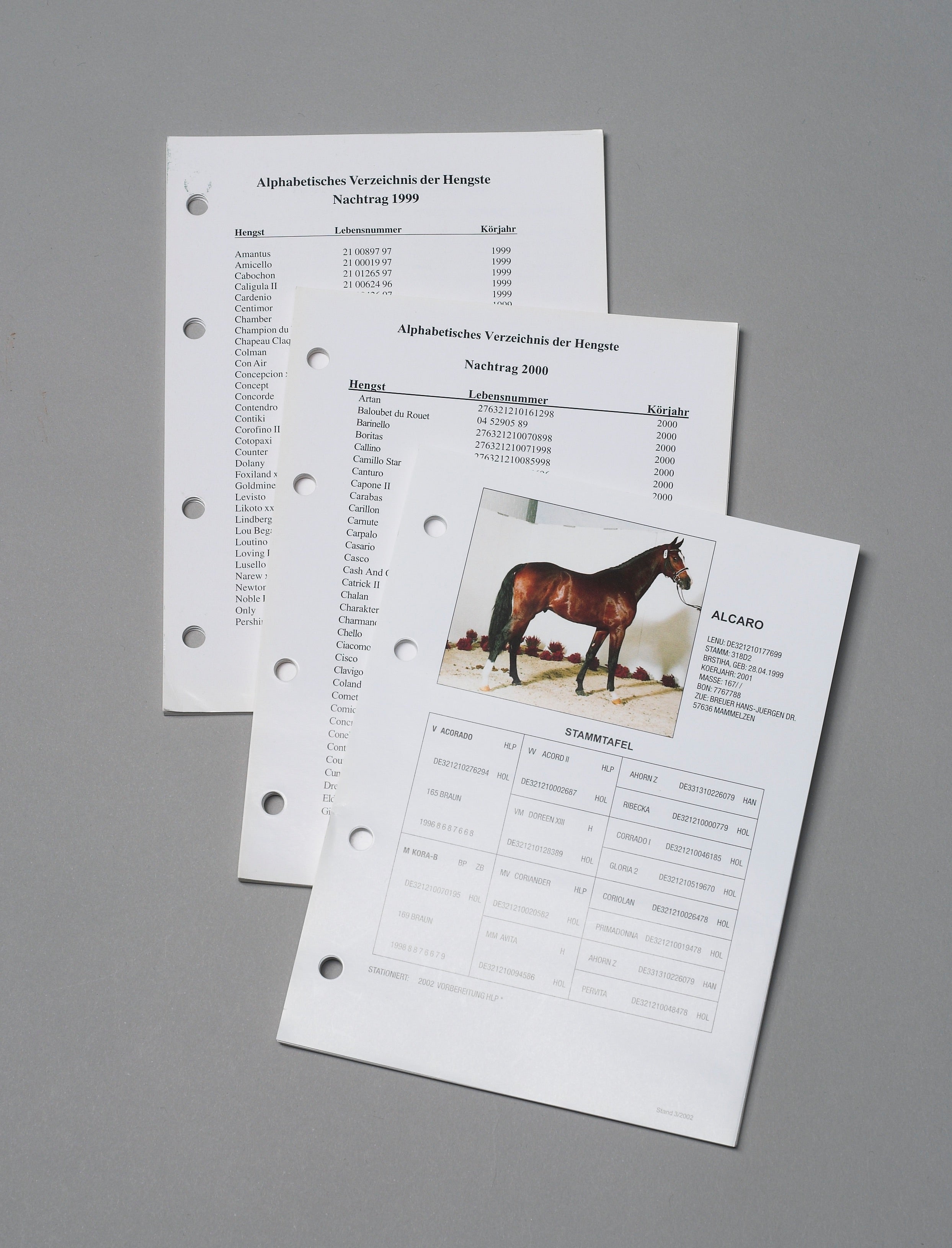 Holsteiner Hengstbuch – Verschiedene Nachträge3