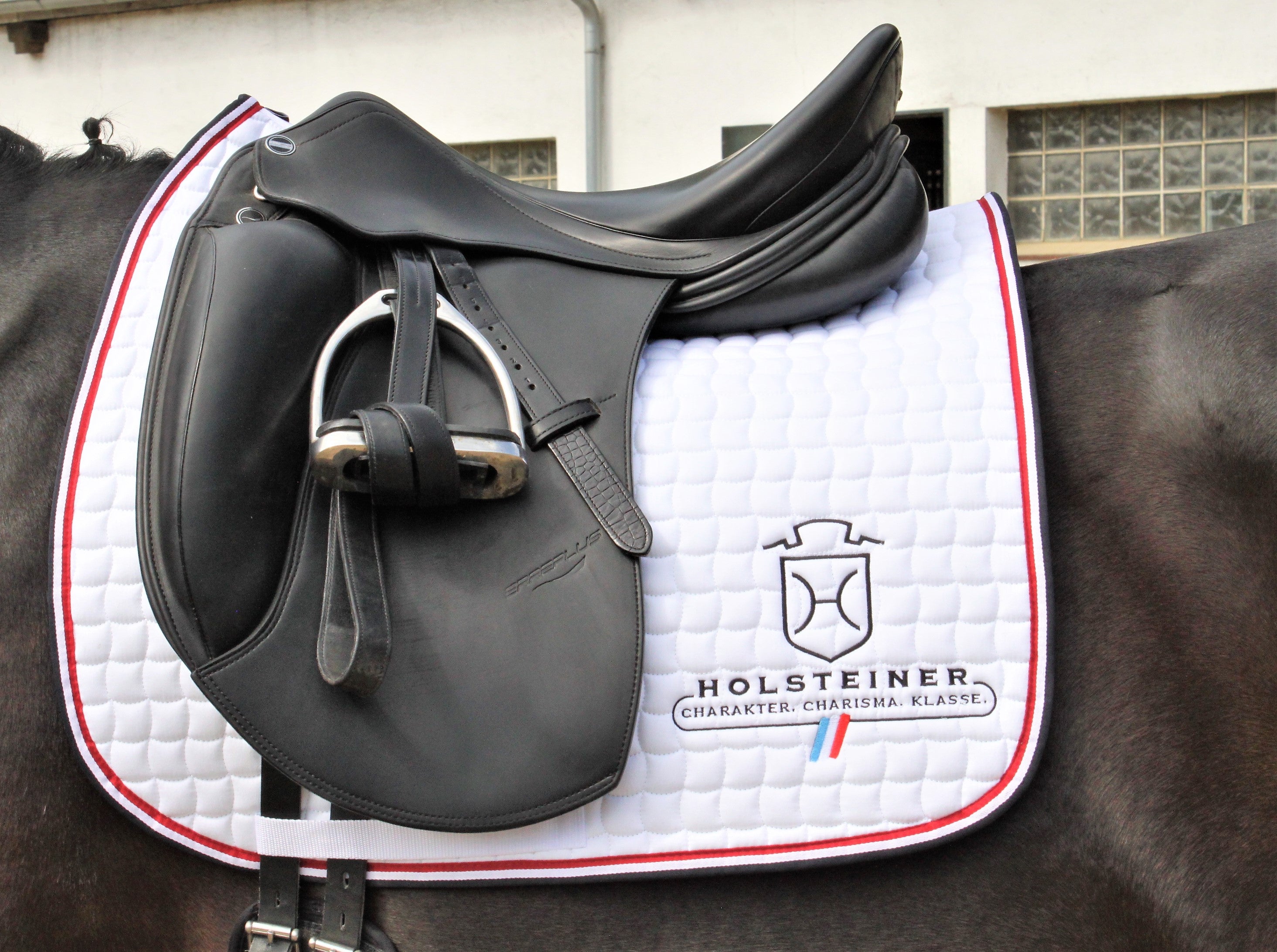 Dressurschabracke Holsteiner v. ESKADRON - weiß