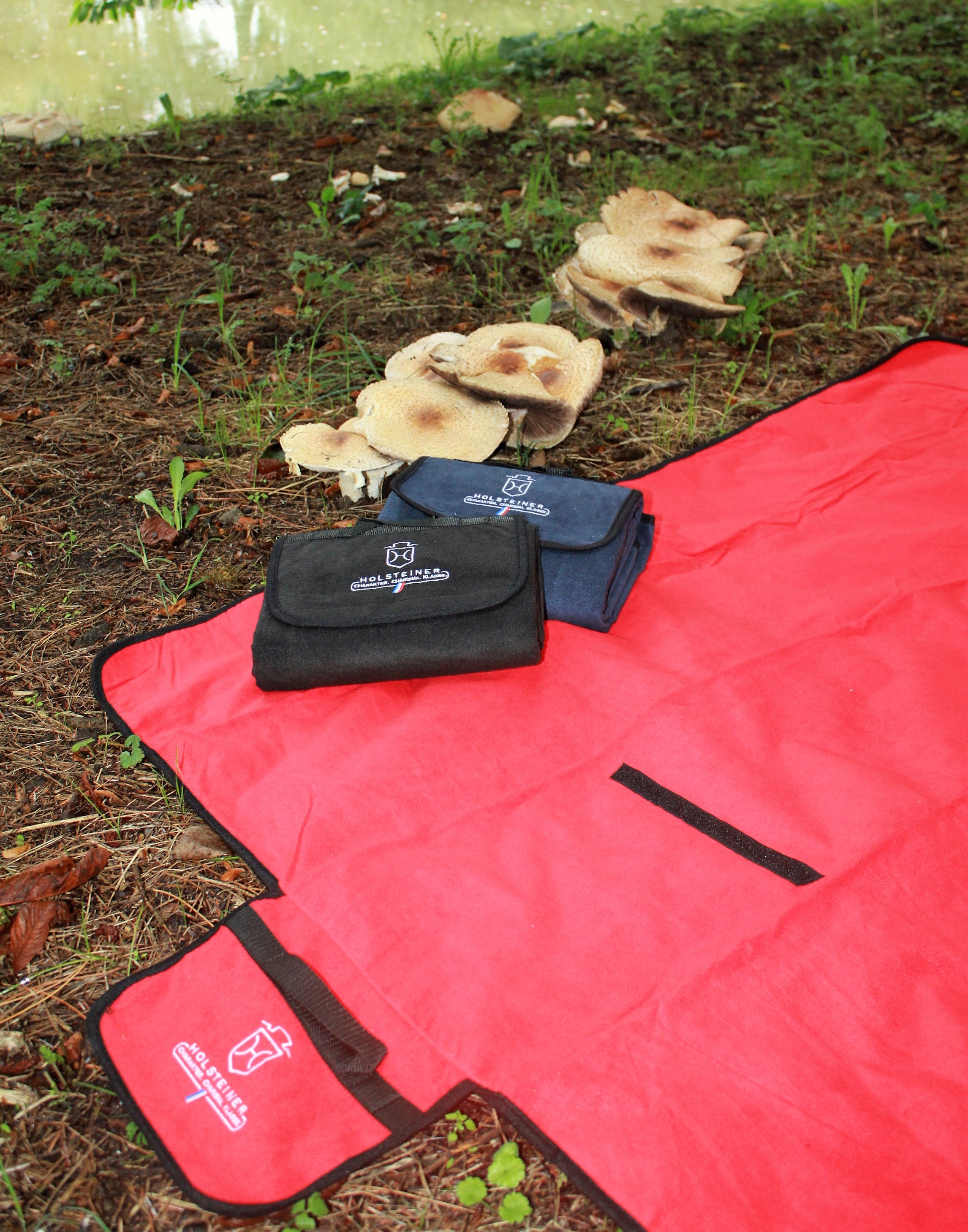 Holsteiner Picknickdecke2Go