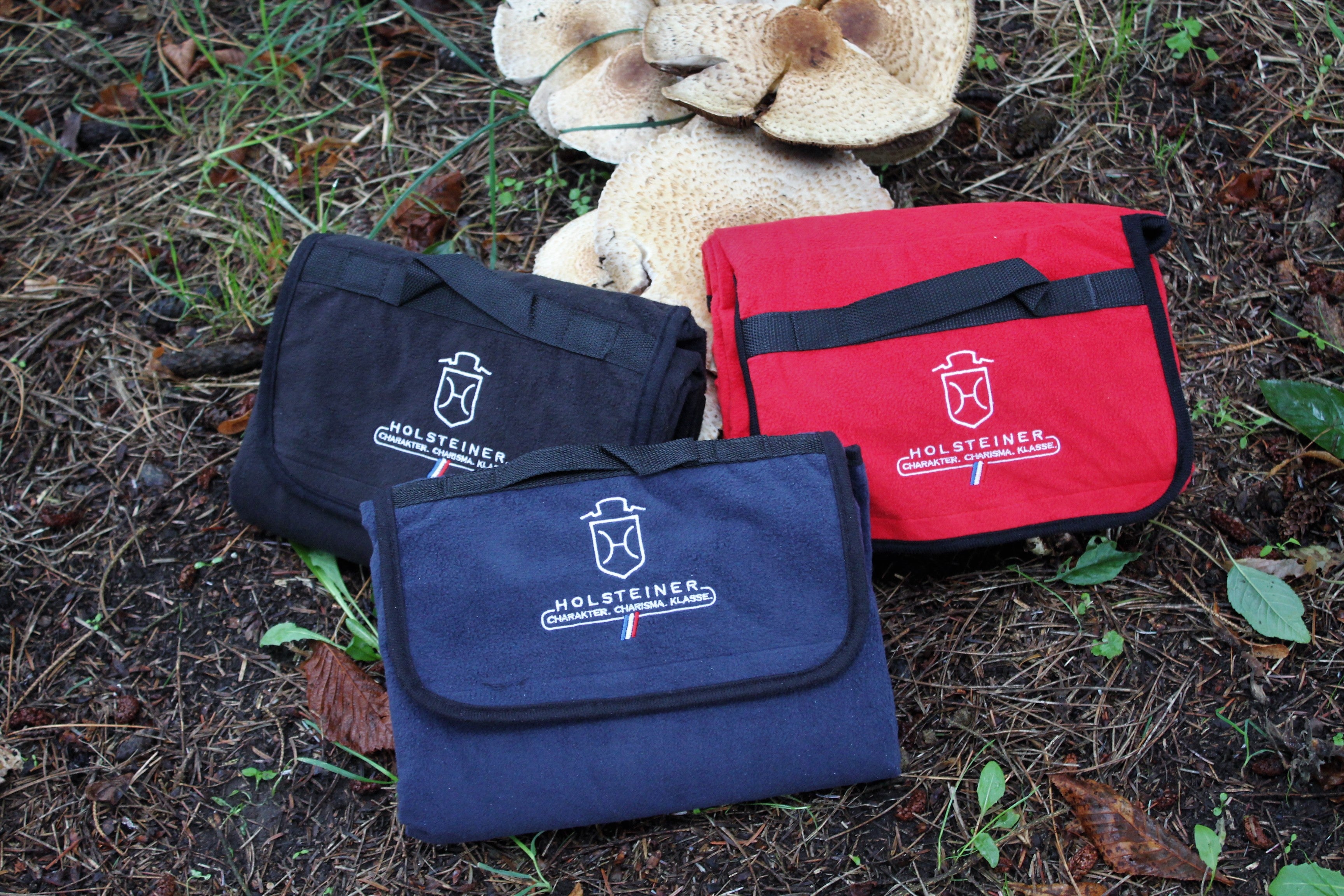 Holsteiner Picknickdecke2Go