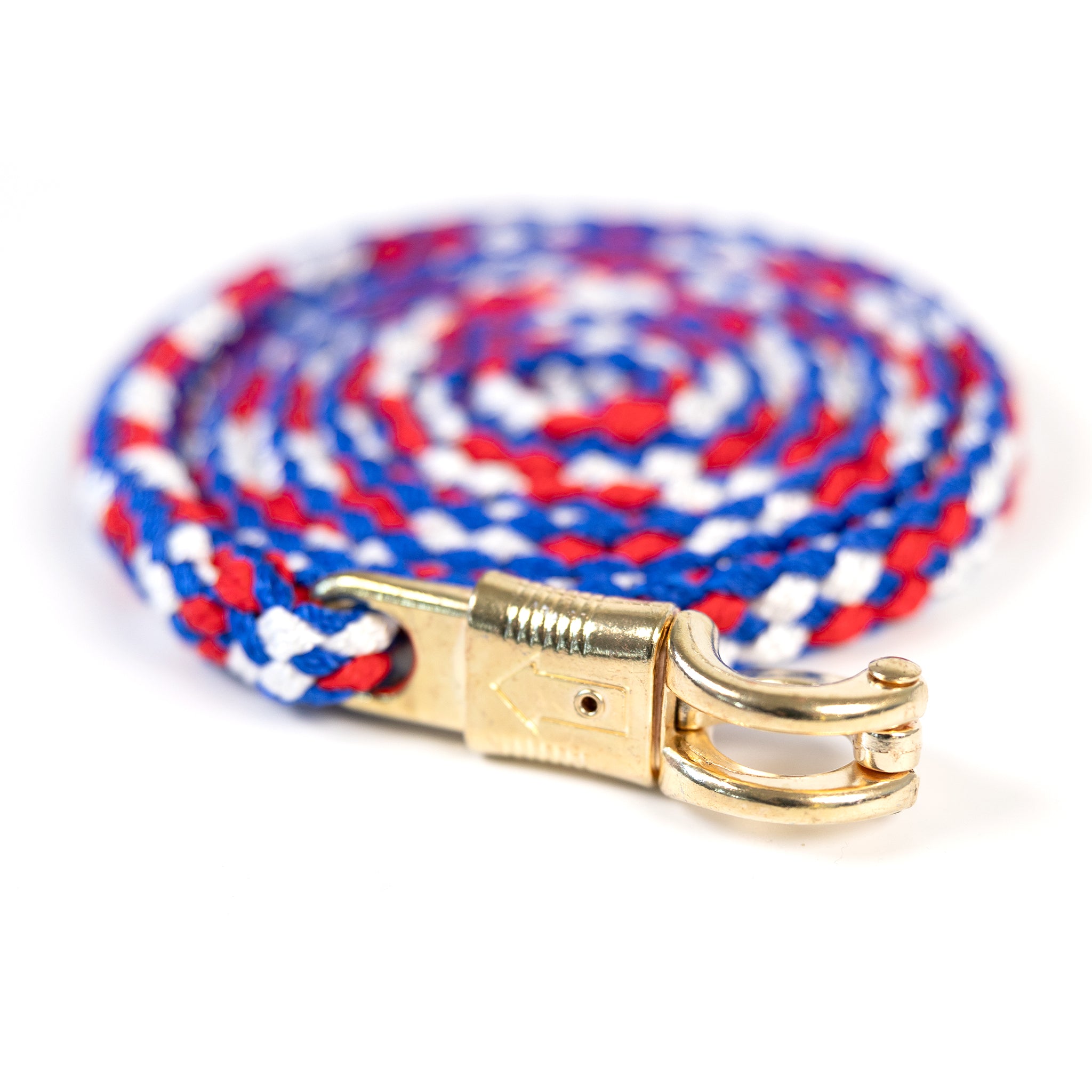 Holsteiner Tricolor Führstrick