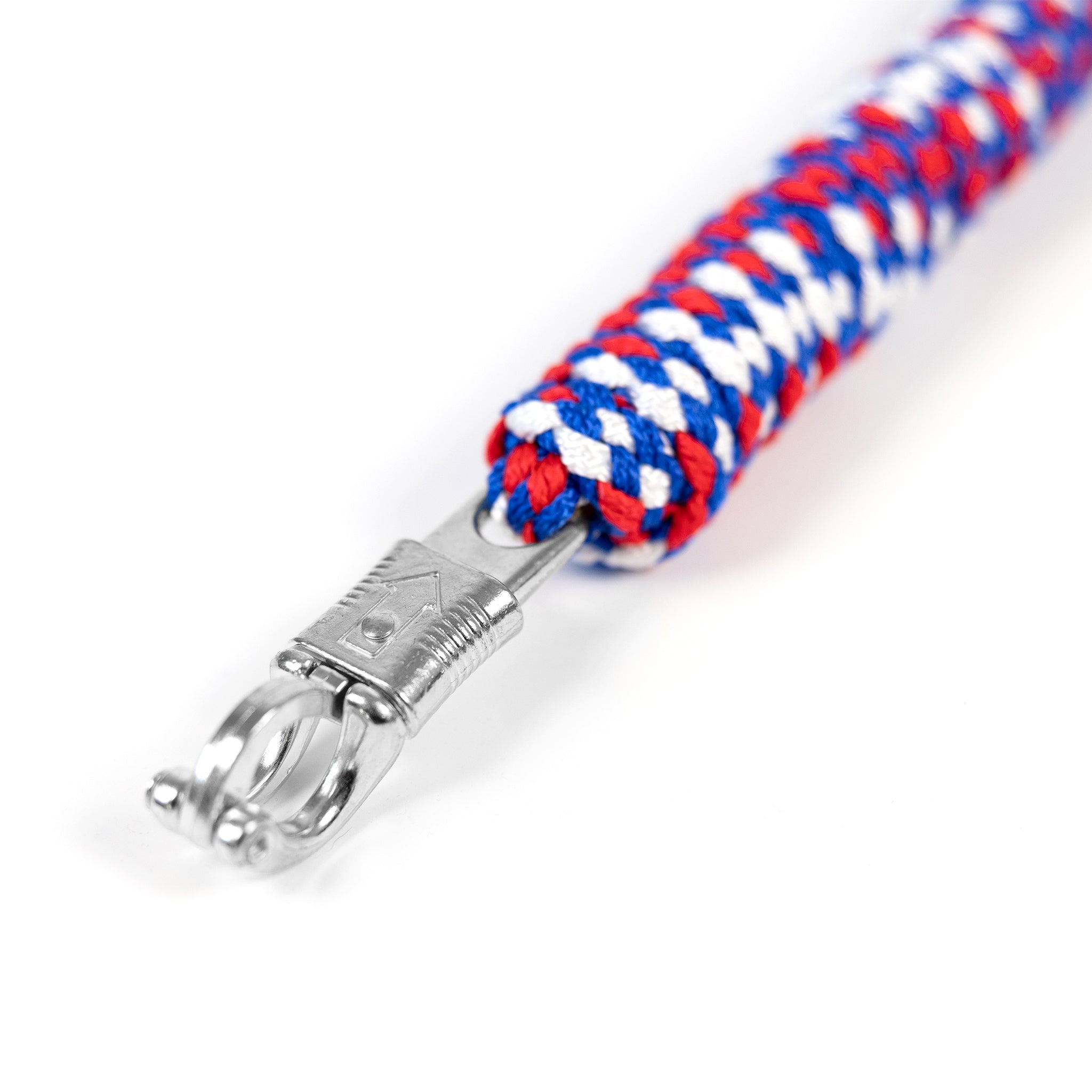 Holsteiner Tricolor Führstrick