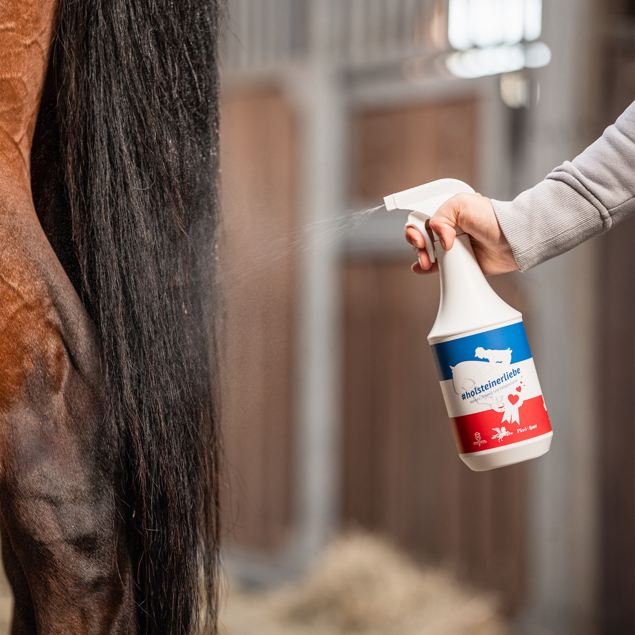Mähnen-, Schweif- & Fellglanzspray #Holsteinerliebe