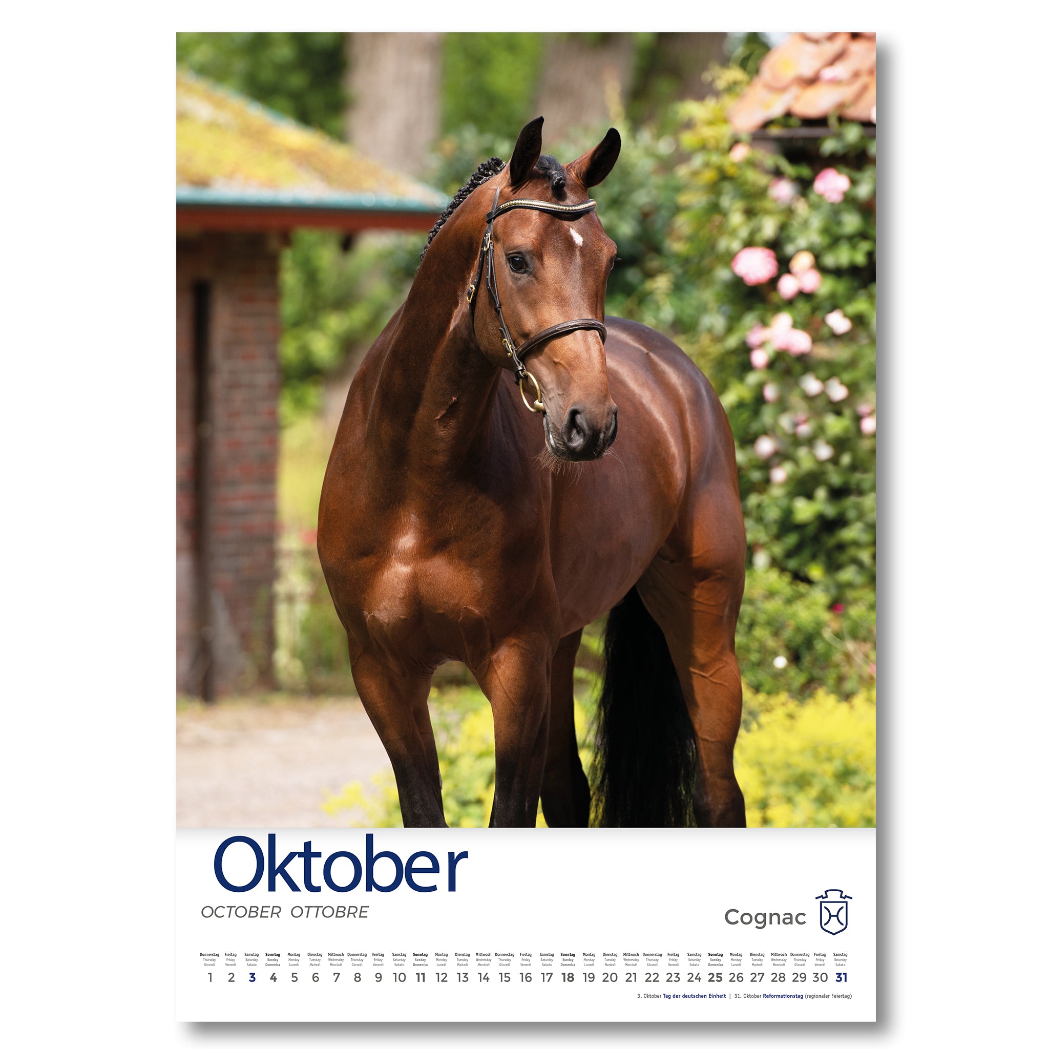 Holsteiner Impressionen - Kalender 2026