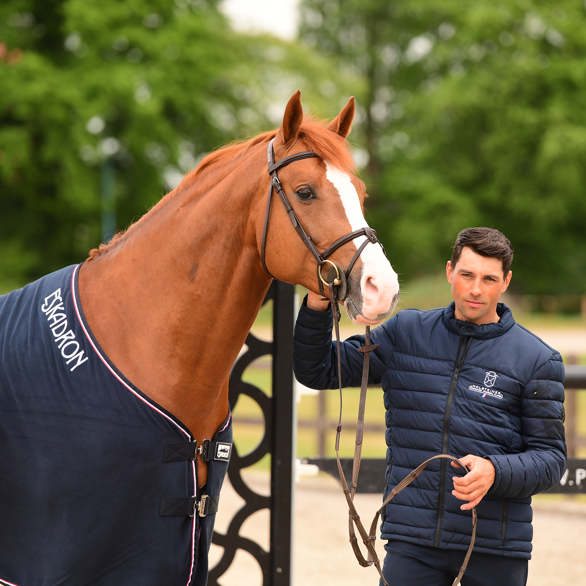 Abschwitzdecke v. ESKADRON