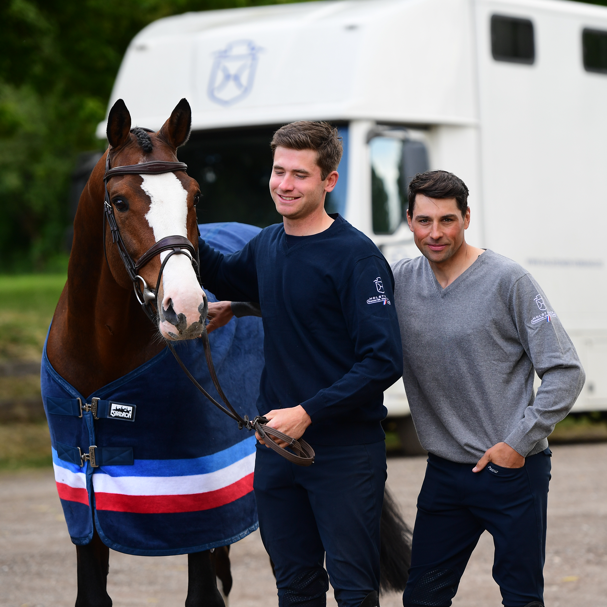 Holsteiner Elitedecke v. ESKADRON