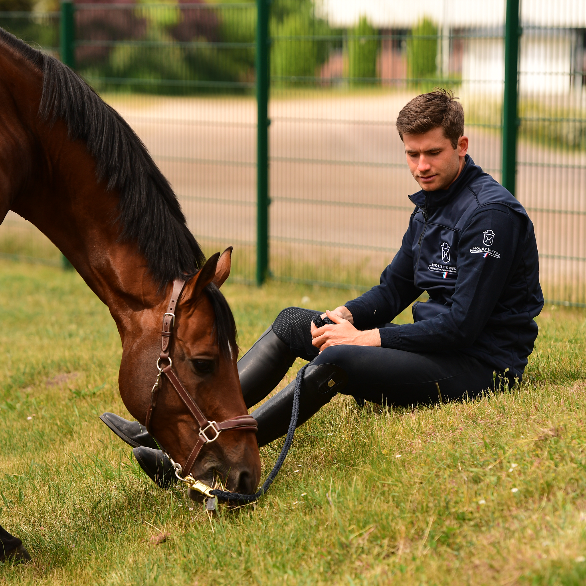 Herren Softshell Weste "Holstein Active"