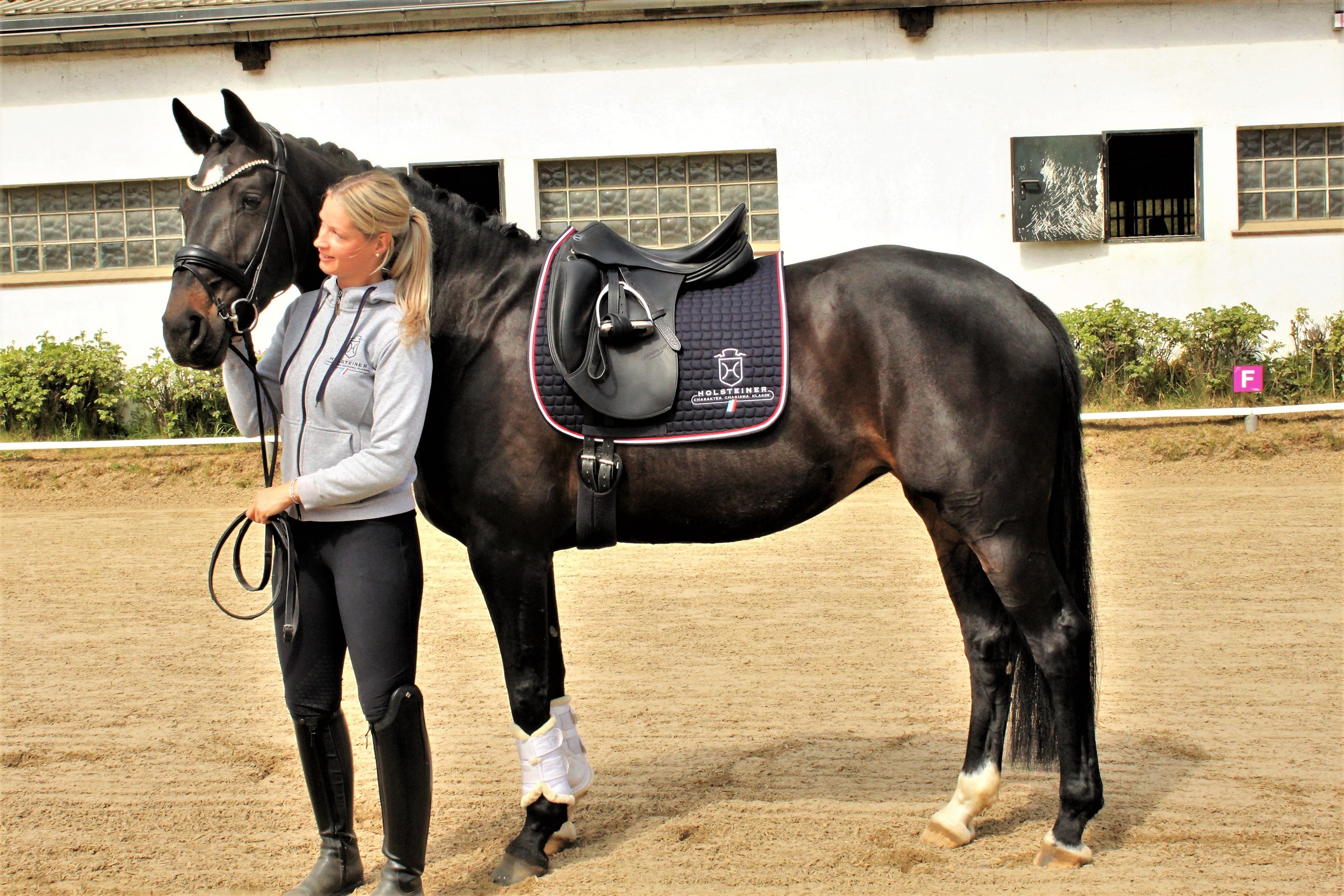 Dressurschabracke Holsteiner v. ESKADRON - dunkelblau