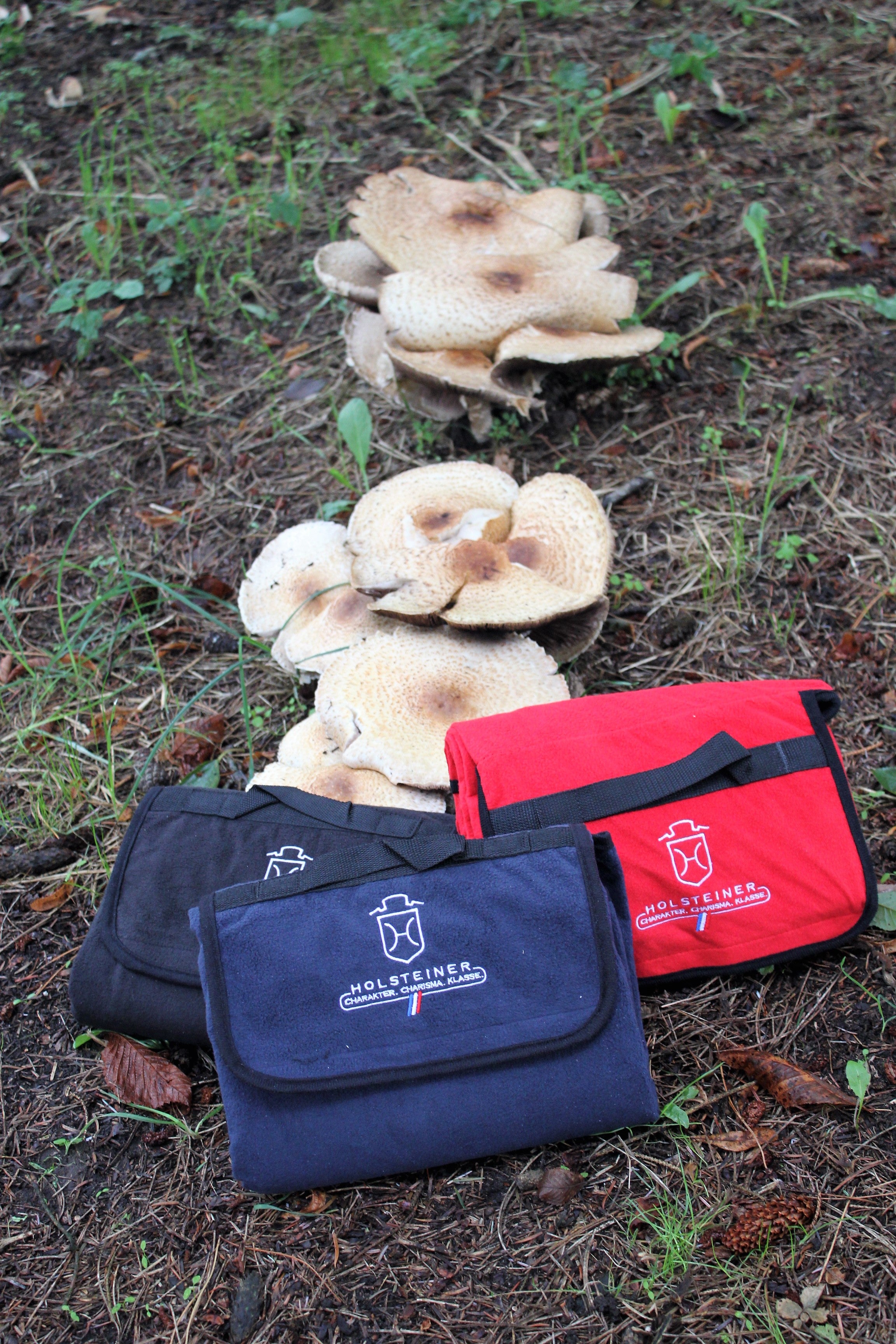 Holsteiner Picknickdecke2Go